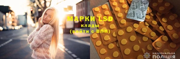 шишки Няндома