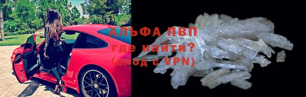 шишки Няндома