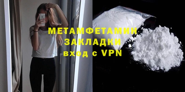 шишки Няндома
