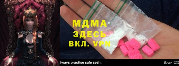шишки Няндома