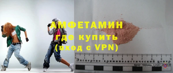 шишки Няндома