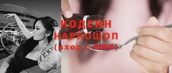 шишки Няндома