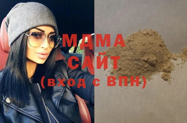 шишки Няндома
