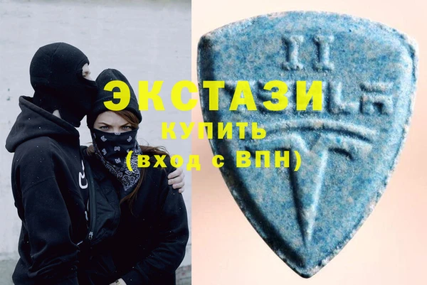 шишки Няндома
