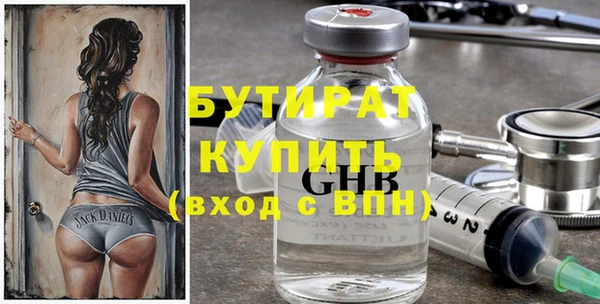 шишки Няндома