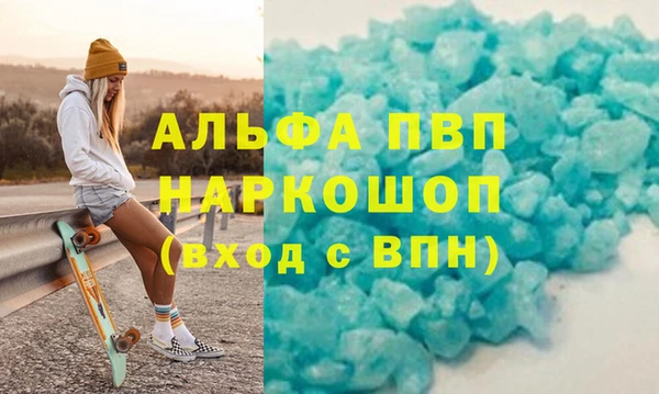 шишки Няндома