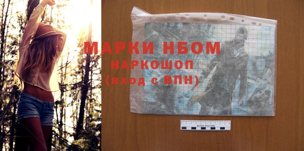 шишки Няндома