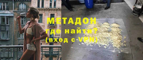 шишки Няндома