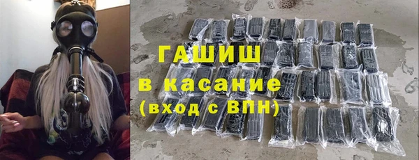шишки Няндома