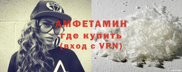 шишки Няндома
