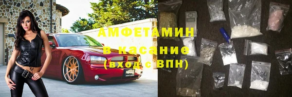 шишки Няндома