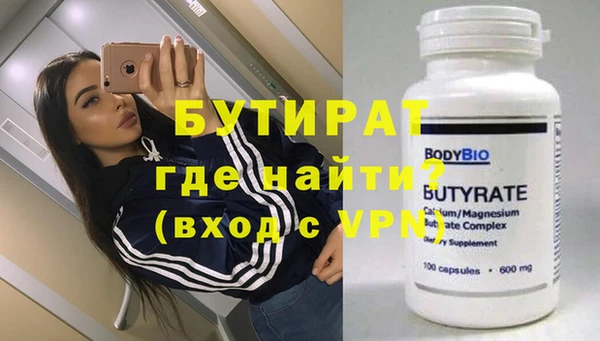 шишки Няндома