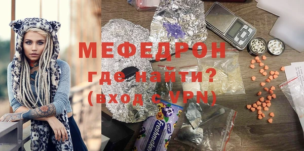 шишки Няндома