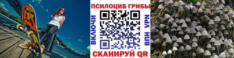 Псилоцибиновые грибы GOLDEN TEACHER  Тюкалинск 